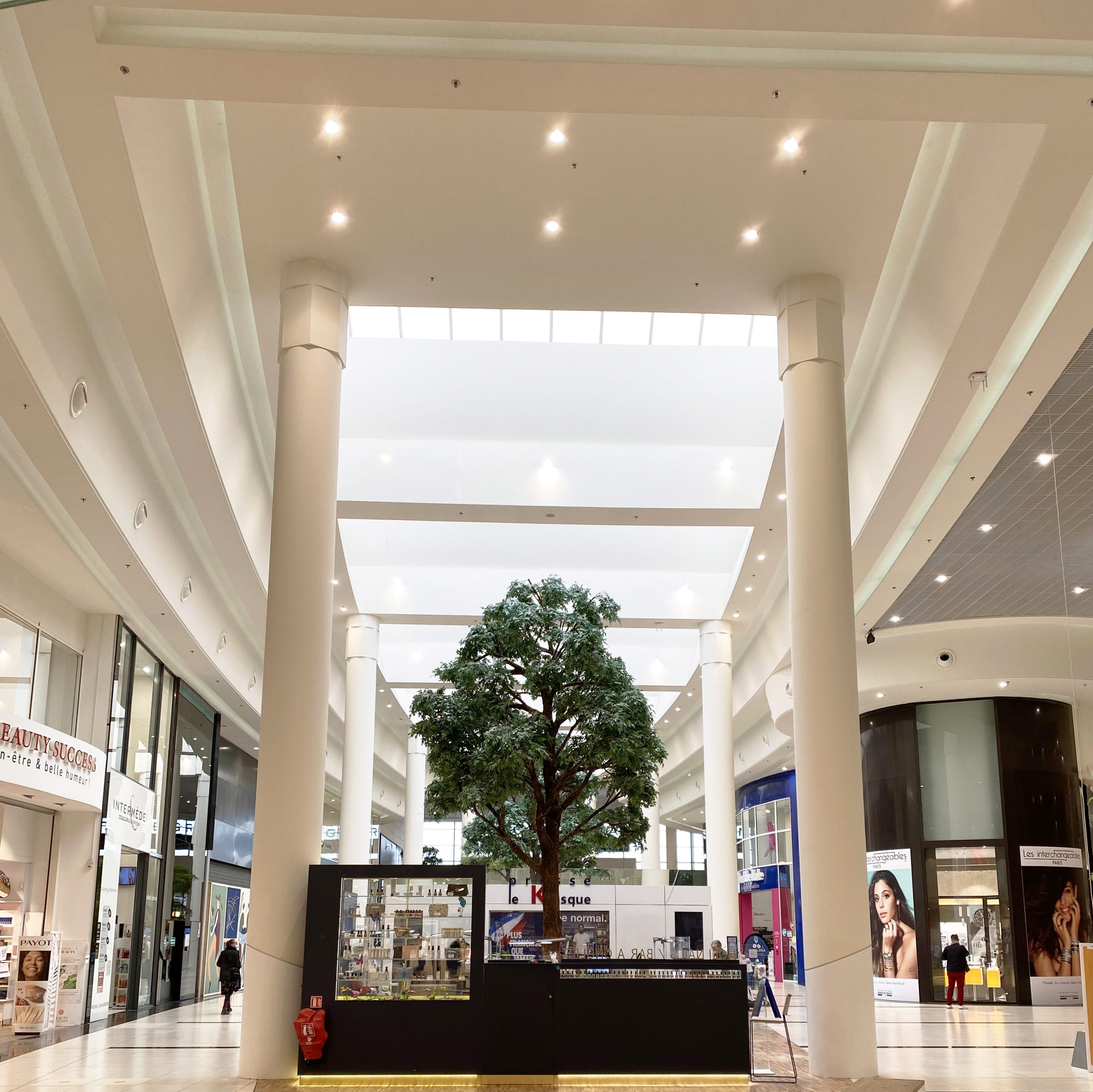 Startistaff Leclerc Saint Grégoire décoration globale en staff